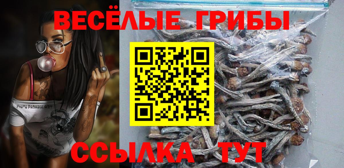 Псилоцибиновые грибы Psilocybe Отрадный
