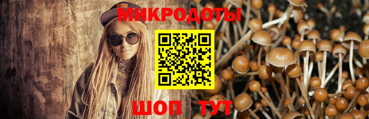 Отрадный  Галлюциногенные грибы GOLDEN TEACHER  Вход с VPN 